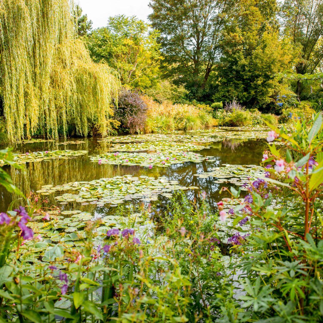 Artistic Inspiration in Giverny