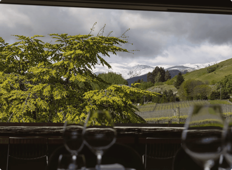 Amisfield Restaurant