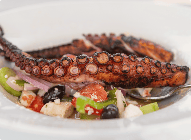 Athens Greece - grilled octopus