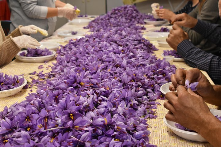 saffron cooking class sicily italy