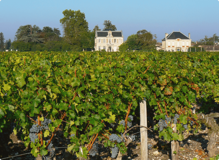 Bordeaux France (2)