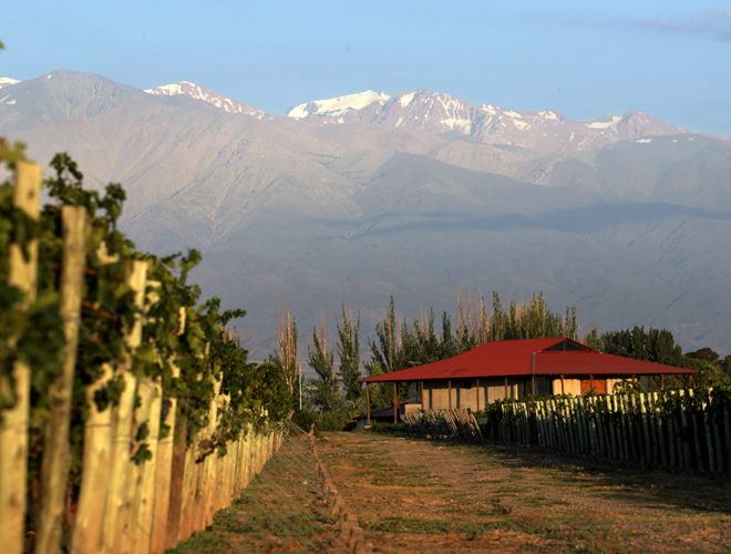 Mendoza-(1)