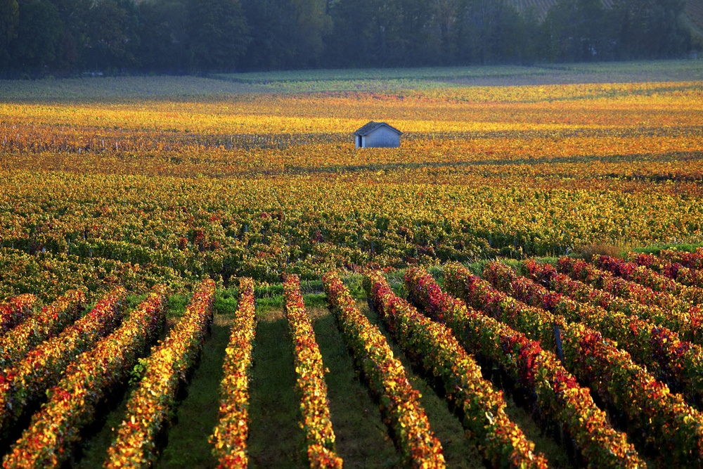 Burgundy, France (7)