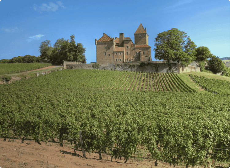 Burgundy, France - Best for Wine Lovers