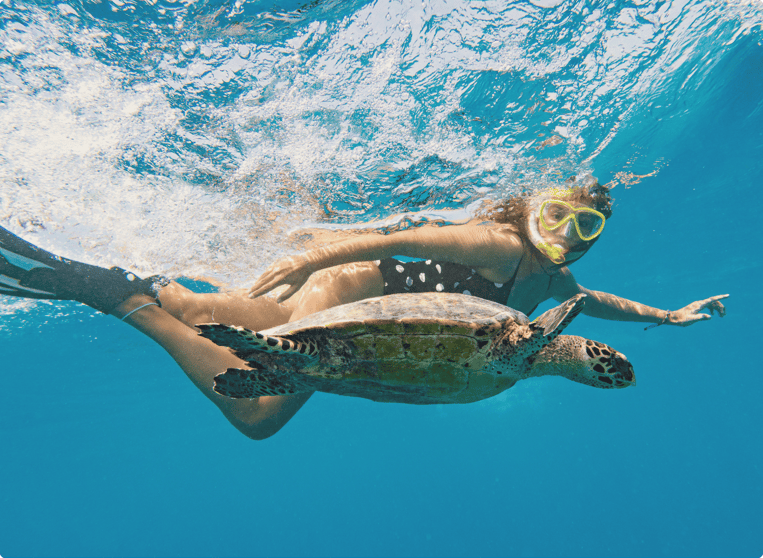 Cruising the Galapagos Aboard the Hermes Mega Catamaran (2)