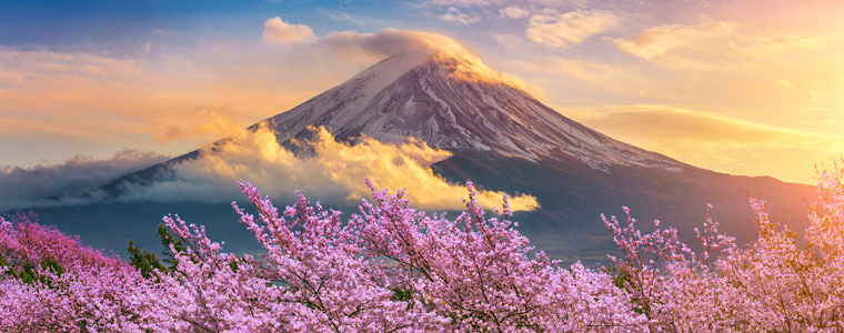 Mt. Fuji