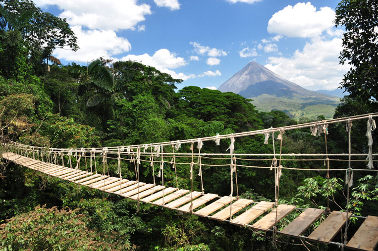 Arenal_Hanging_Bridge_Rainforest