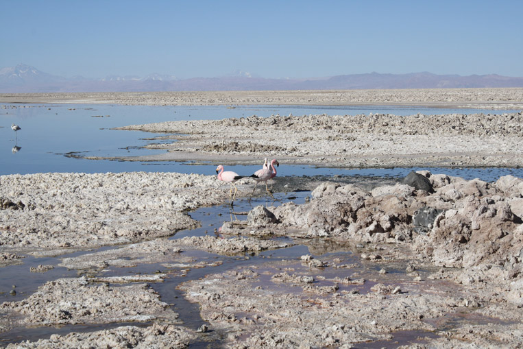 Atacama