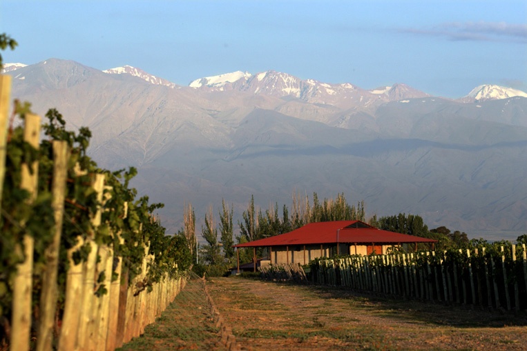 Mendoza-(1).jpg