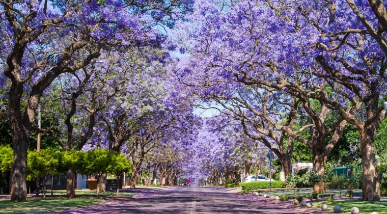 Johannesburg, Pretoria-01-890263-edited.jpg