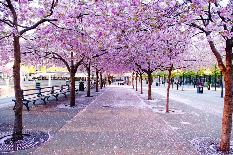Stockholm, Sweden