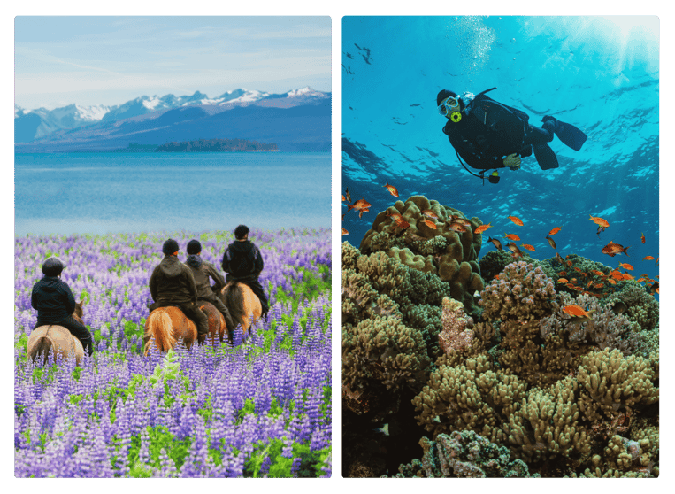 People riding horses in New Zealand next to a man scuba diving off of Australia's Golden Coast
