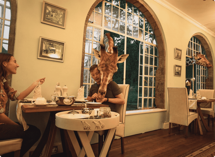 Giraffe Manor (1)