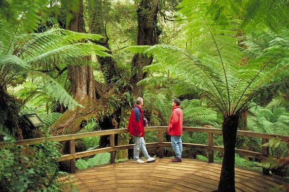 melbourne sustainable tour