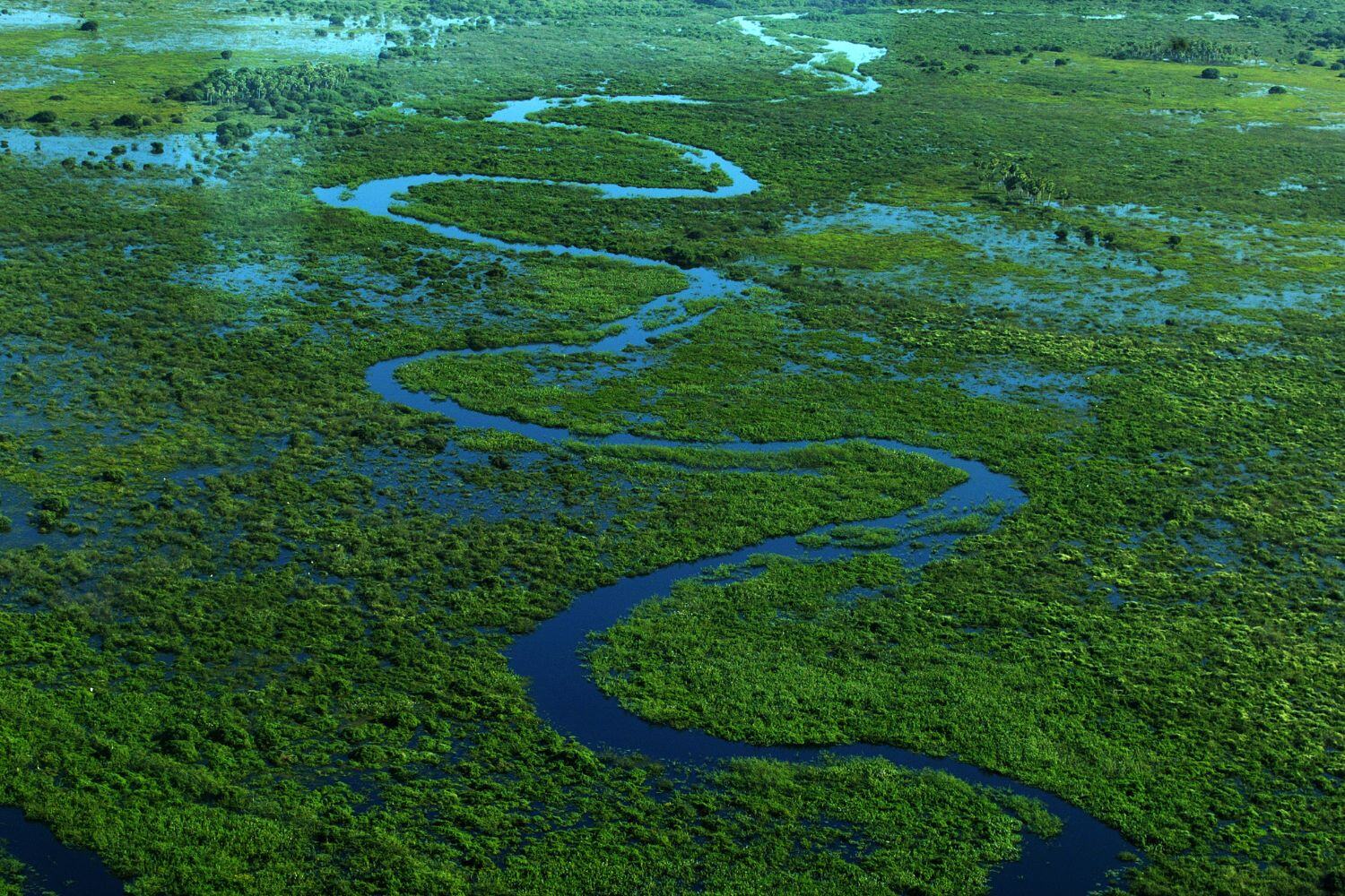 Pantanal - Brazil