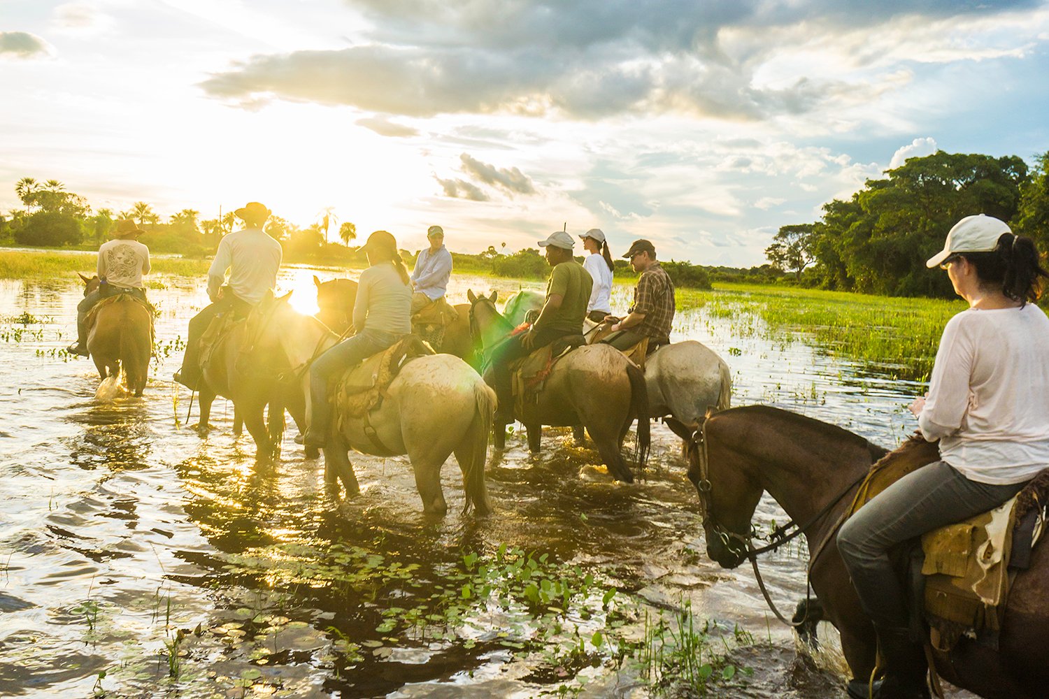 pantanal iStock-480245255 1500x1000