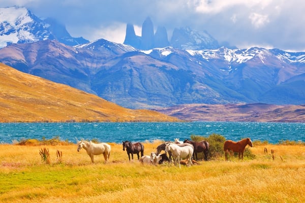 Chile, Patagonia, Torres del Paine National Park-05-934206-edited
