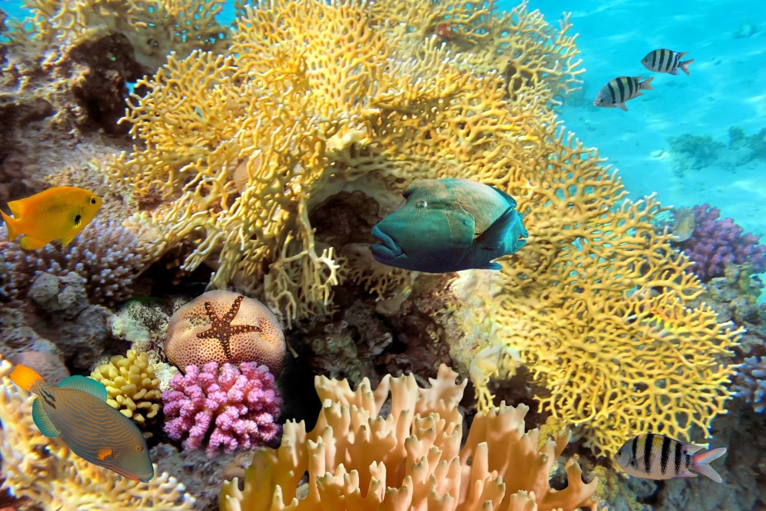 Luxury Costa Rica Travel (13)
