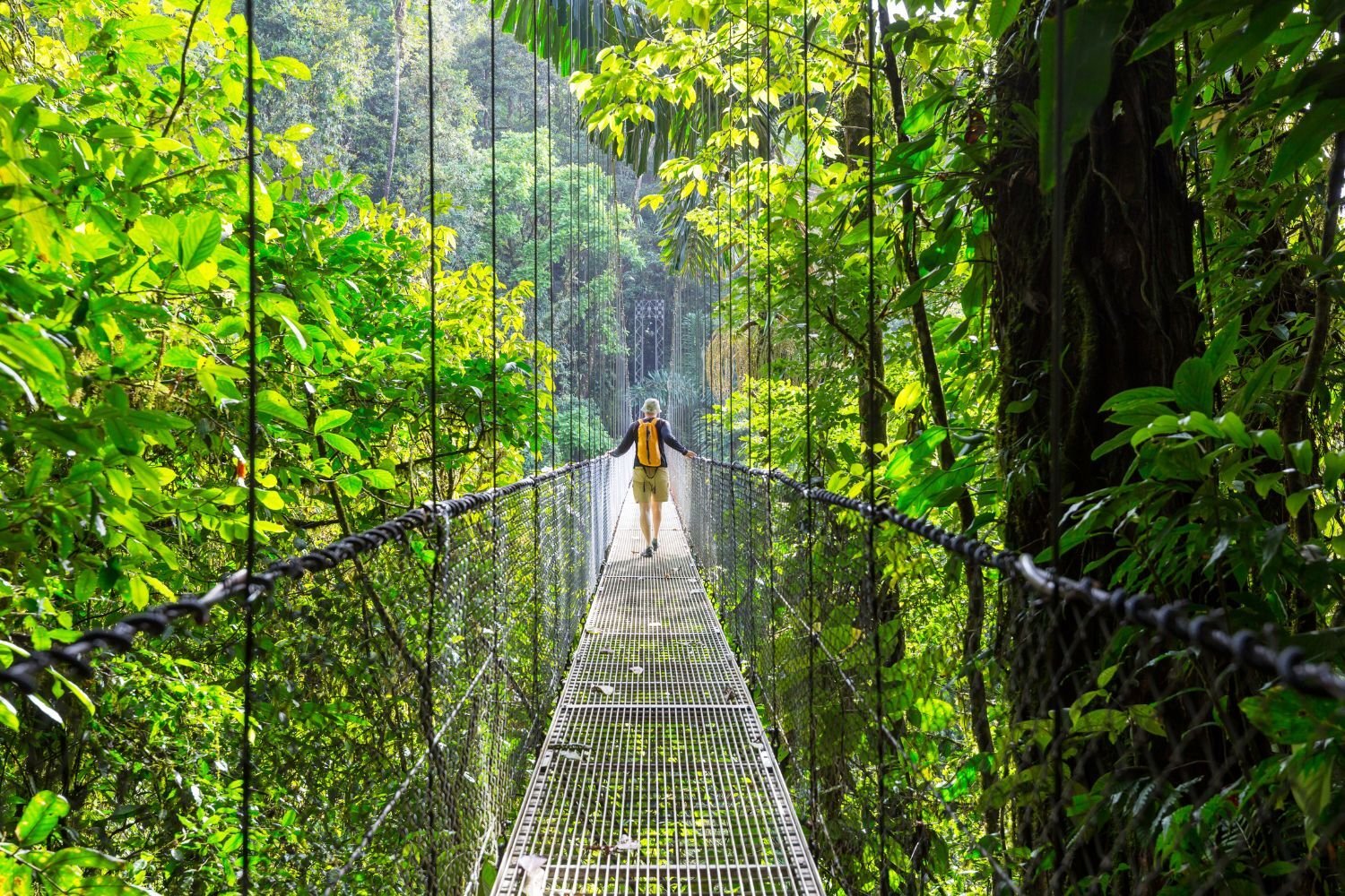 Monteverde Cloud Forest
