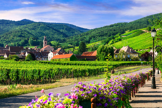 Guide to Grape Harvest Seasons Across Europe | Travel Destination Inspiration | Keytours Vacations