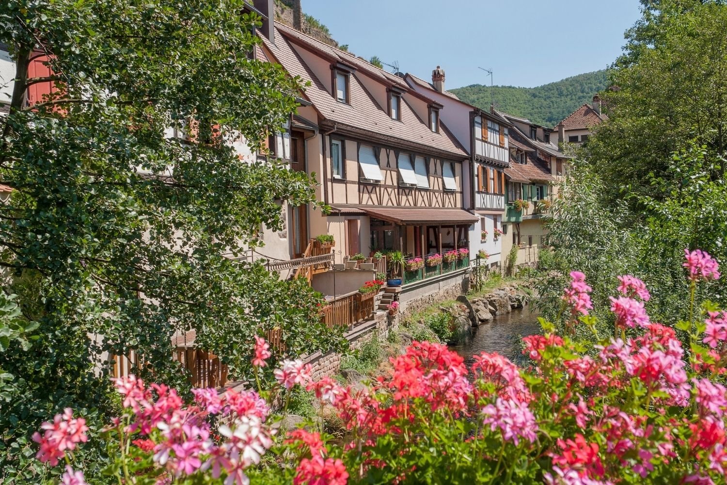 Kaysersberg, Alsace, France (2)