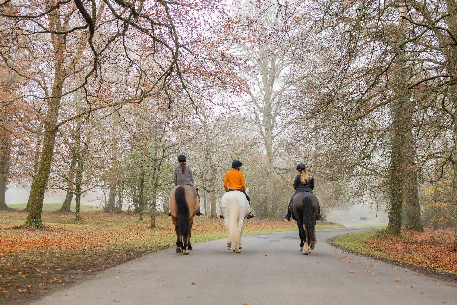 Ireland - Horse Riding in Killarney National Park