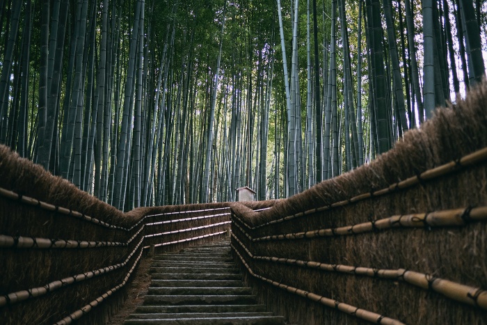 bamboo kyoto japan 700x467