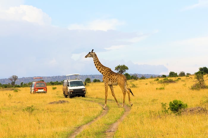 Kenya, Masai Mara, Giraffe 1500x1000