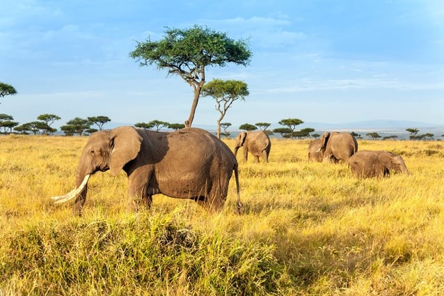 Kenya Travel | 5 Romantic Destinations to Surprise Your Loved One | Keytours Vacations