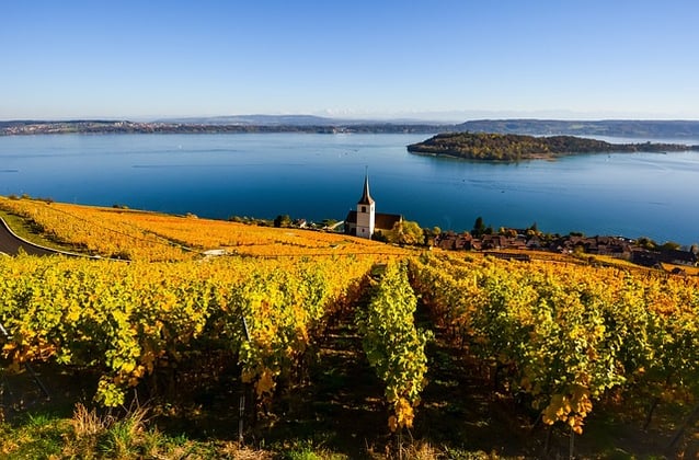 Guide to Grape Harvest Seasons Across Europe | Travel Destination Inspiration | Keytours Vacations