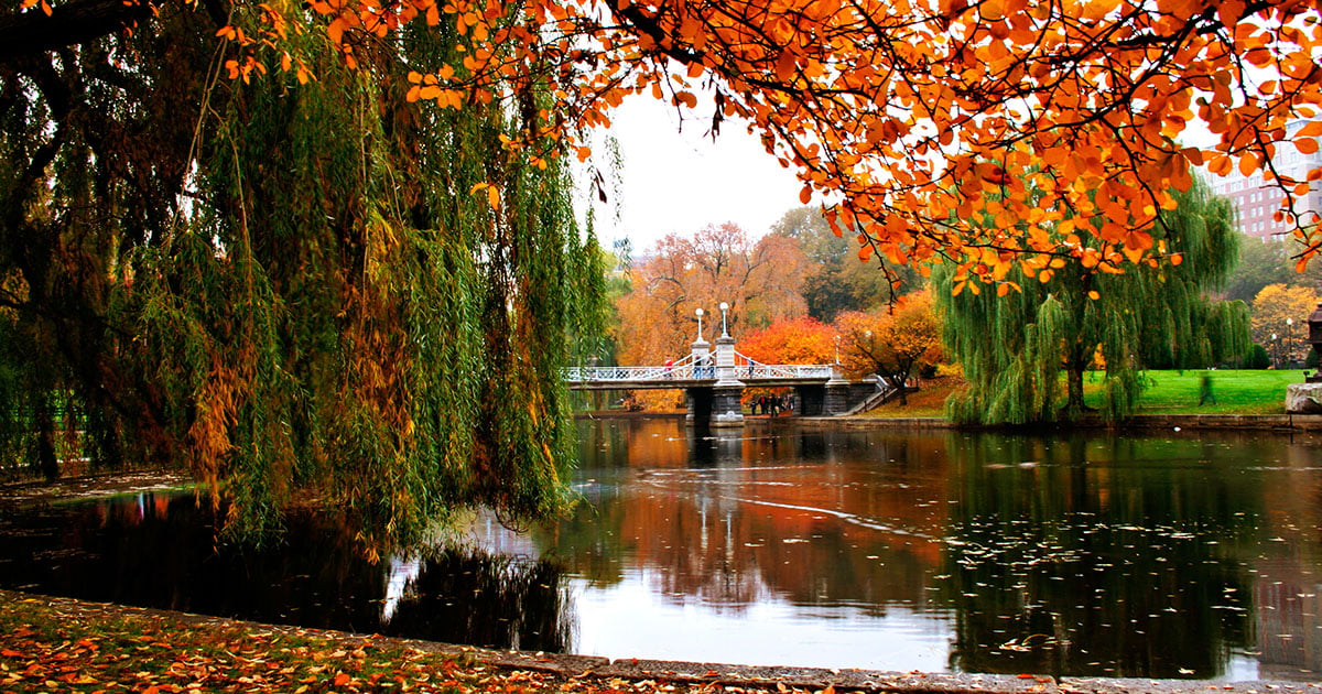 boston autumn shutterstock_1750139 SOCIAL