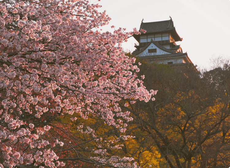 Kyoto Japan