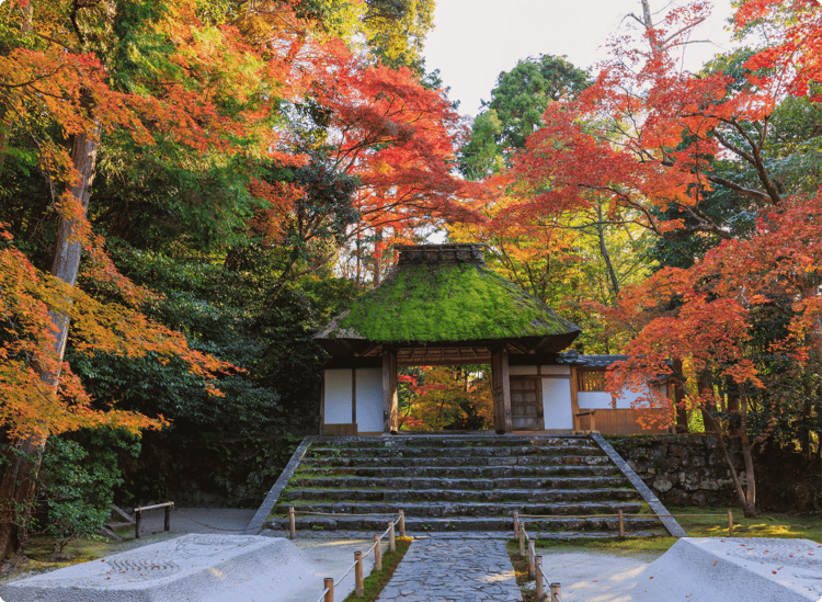 Kyoto, Japan (1)