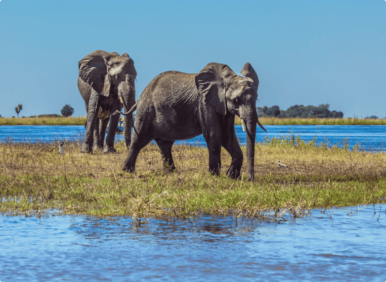 Okavango Delta, Botswana (1)