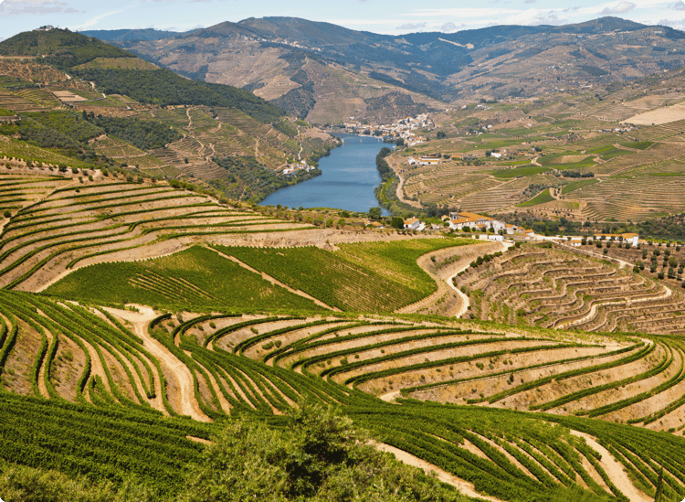 Portugal - Douro Valley