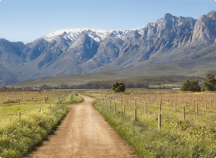 South Africa - Cape Winelands