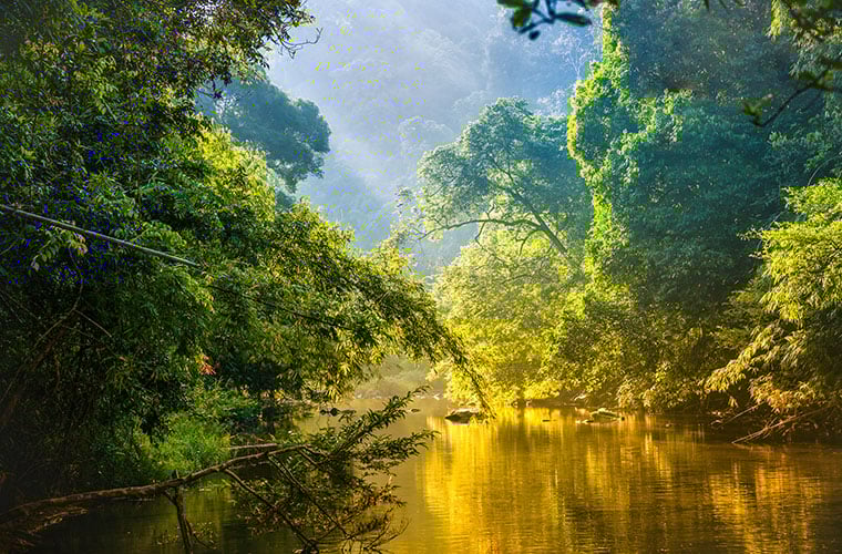 South America, AmazonBLOG