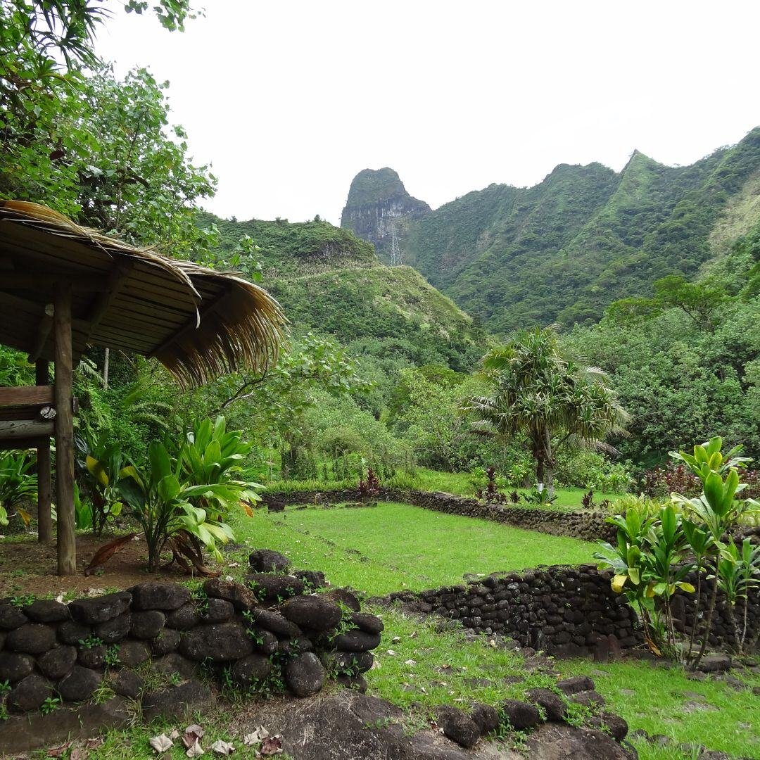 Tahiti-BoraBora-Eco-Friendly and Sustainable Travel Options