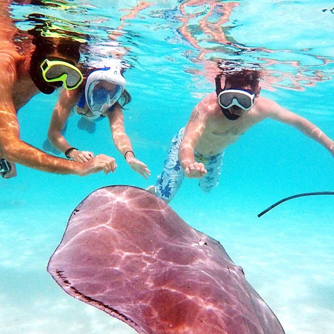 Tahiti-BoraBora-Vibrant Marine Life and Coral Reefs