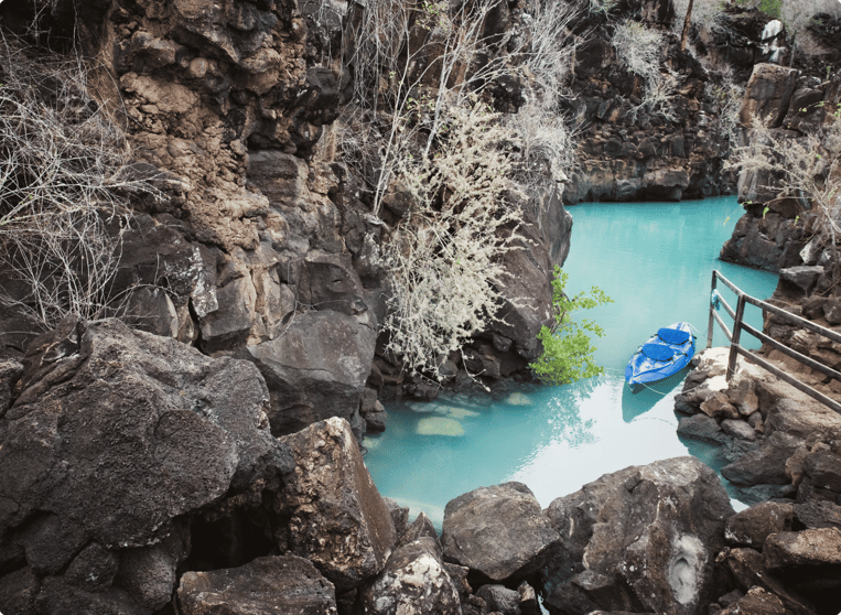 The Galapagos Islands Ecuador