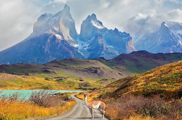 Torres del Paine, Patagonia, Chile - Majestic peaks of Los Kuernos over Lake Pehoe shutterstock_296005076WEB