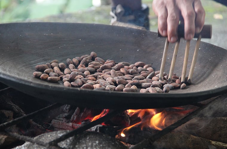 cocoa beans ecuador