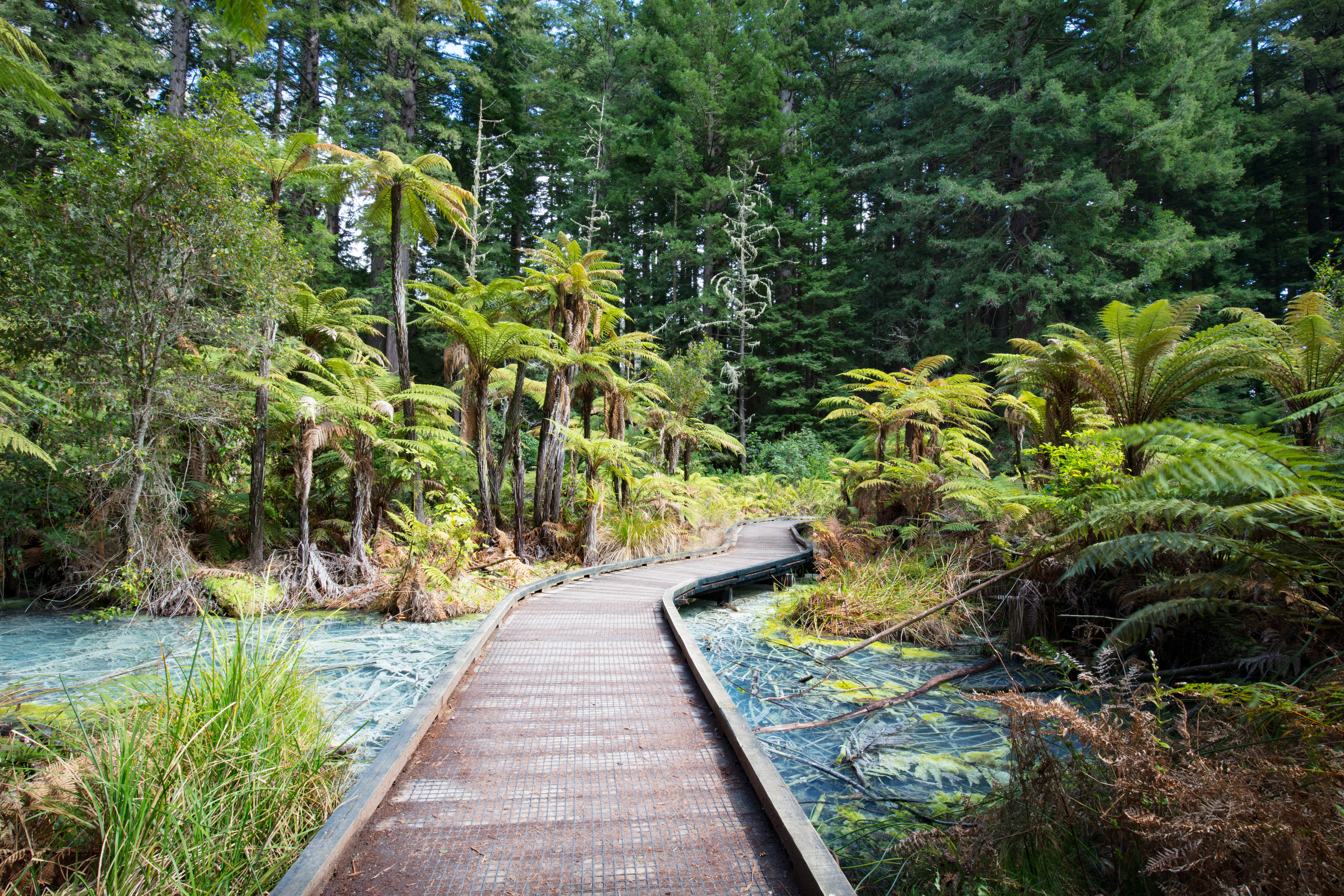 lakes of New Zealand 1