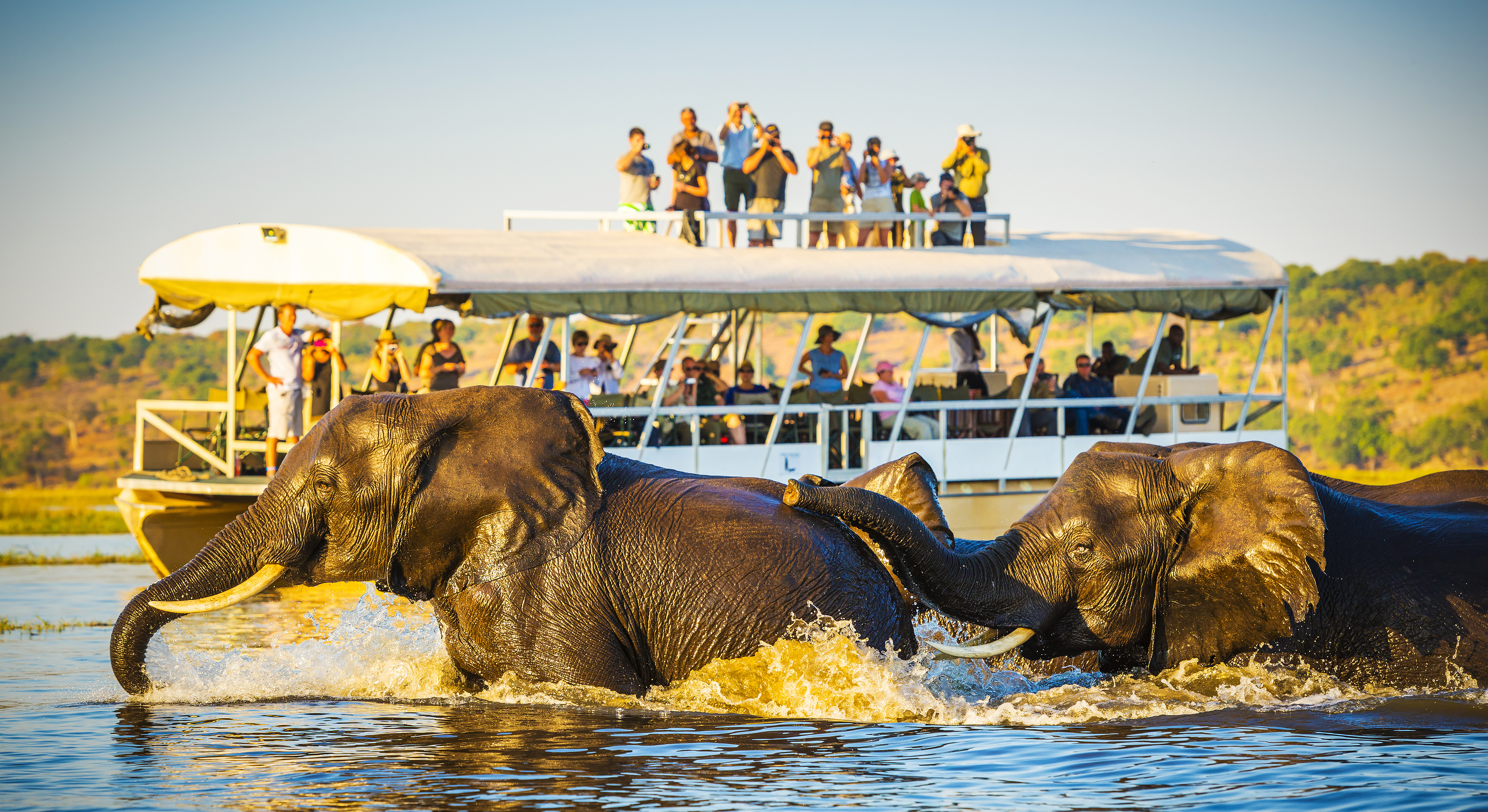 Luxury Okavango Delta Safari