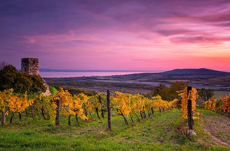 Hungary wine travel