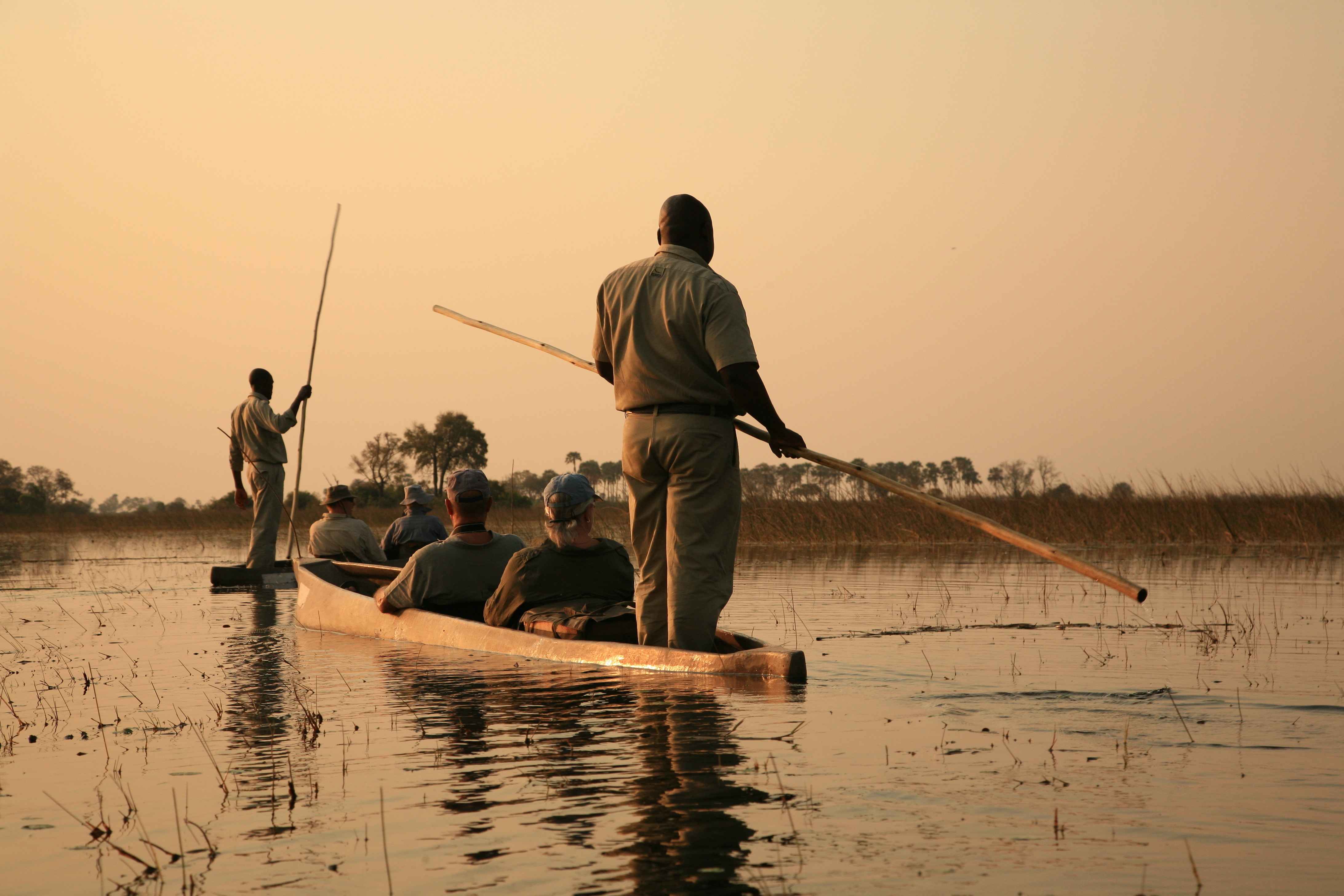 Luxury Okavango Delta Safari